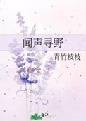 闻声寻宝英文